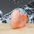 object/wi20-091